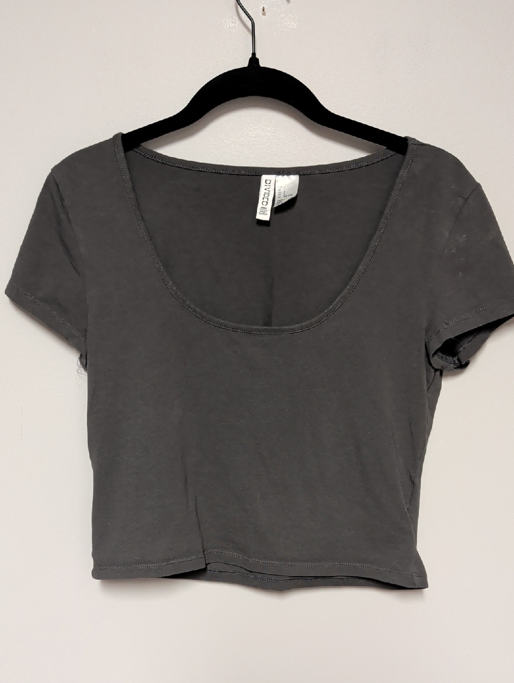 Divided Gray Scoop Neck Cropped Tee